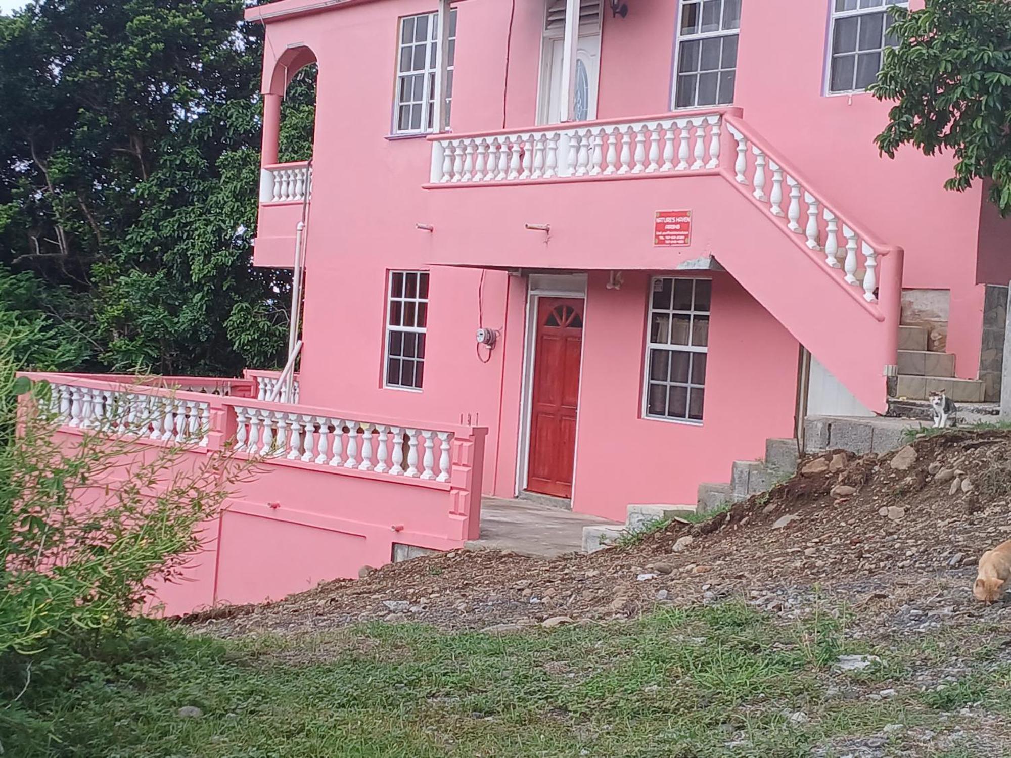 Bed and Breakfast Natrue'S Haven à Marigot Extérieur photo